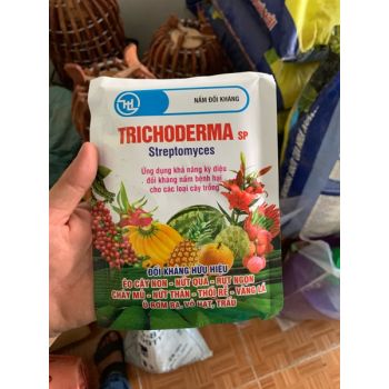 Nấm đối kháng trichoderma